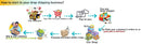 Vegetable Chopper Multifunctional Grater Cutter Kitchen Accessories Manual Fruit Slicer Potatos Shredders Cheese Onions Slicers